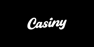 Comprehensive Guide to Casiny Login Accessing Your Account Safely