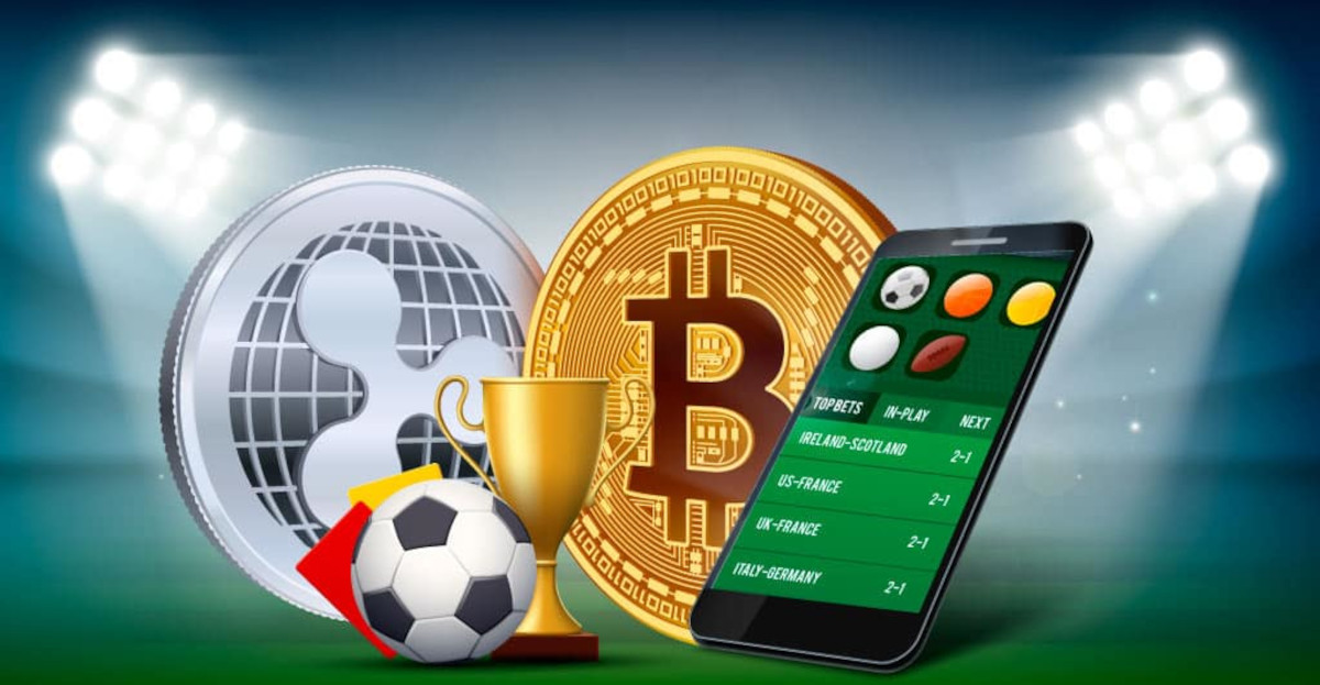 Everything You Need to Know About 77bd Bet 15