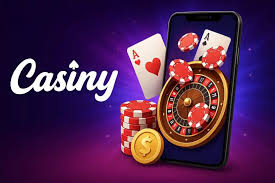 Everything You Need to Know About Casiny Login 9