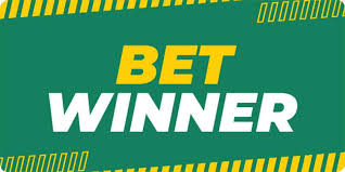 The Ultimate Guide to BetWinner Online Casino 12